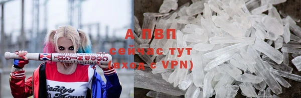 apvp Бородино
