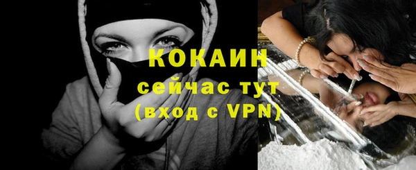 apvp Бородино