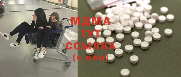apvp Бородино