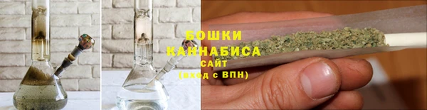 apvp Бородино