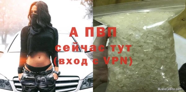 apvp Бородино