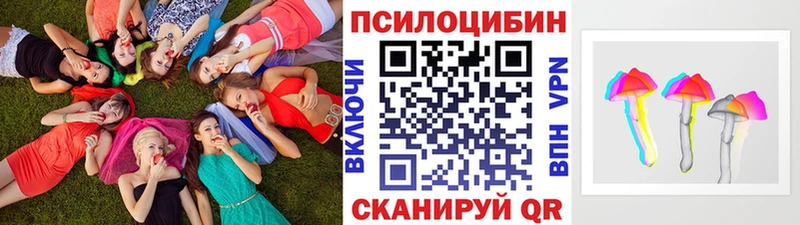Галлюциногенные грибы Psilocybe  kraken tor  Чекалин 